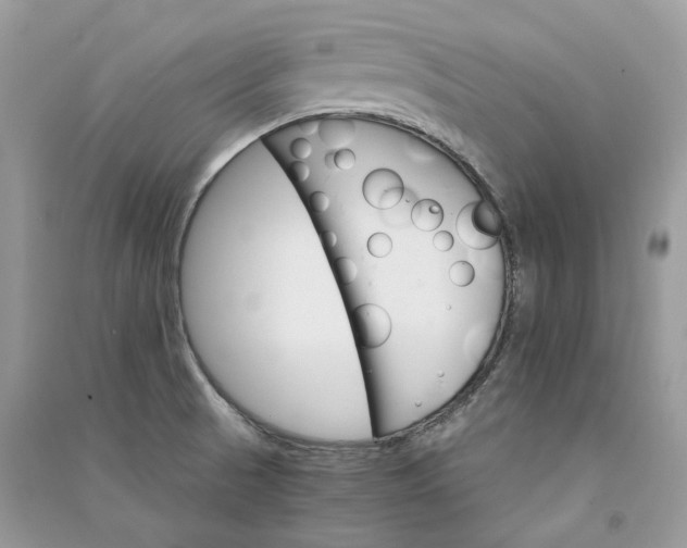 X0000090911521200708131402