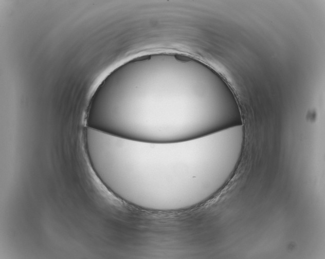 X0000090911524200708131402