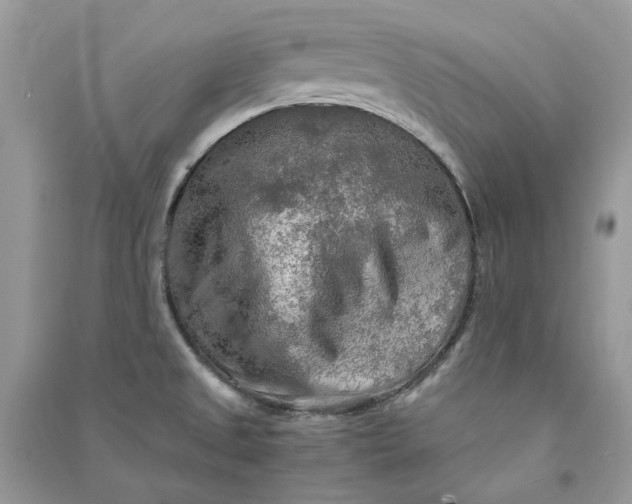 X0000090911525200708131402