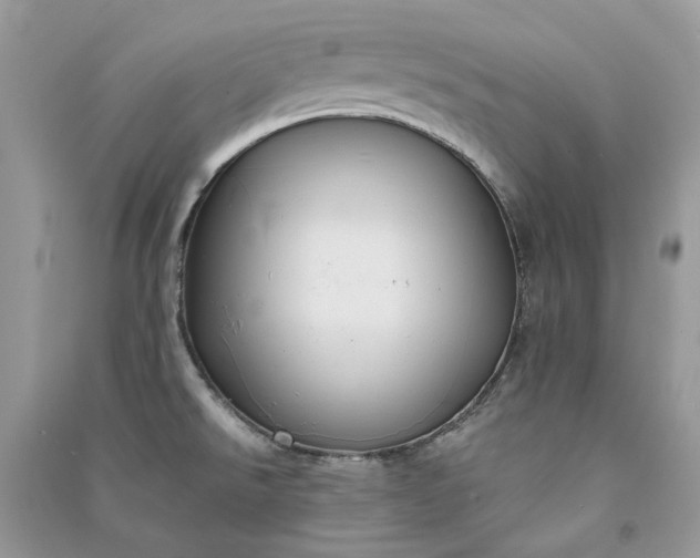 X0000090911526200708131402