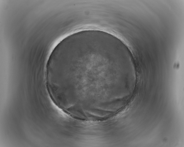 X0000090911527200708131402