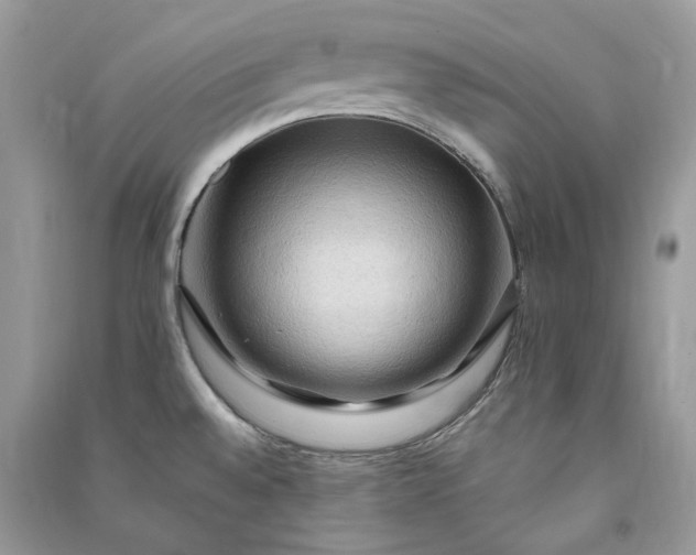 X0000090911528200708131402