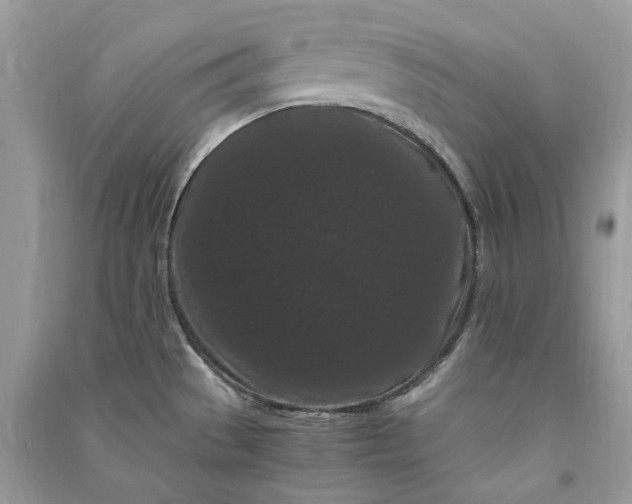 X0000090911529200708131402