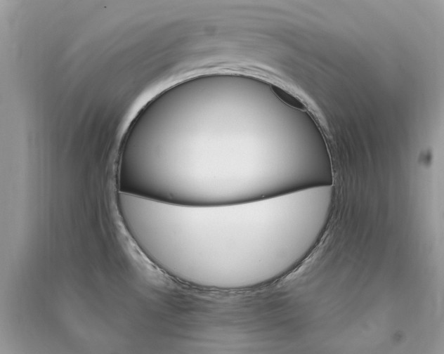 X0000090911530200708131402