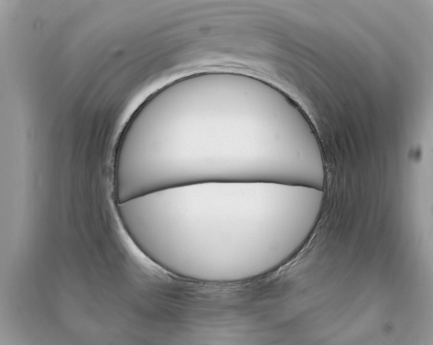 X0000090911531200708131402