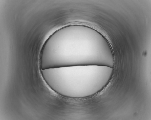 X0000090911533200708131402