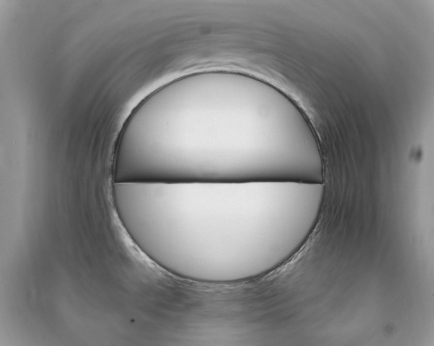 X0000090911534200708131402