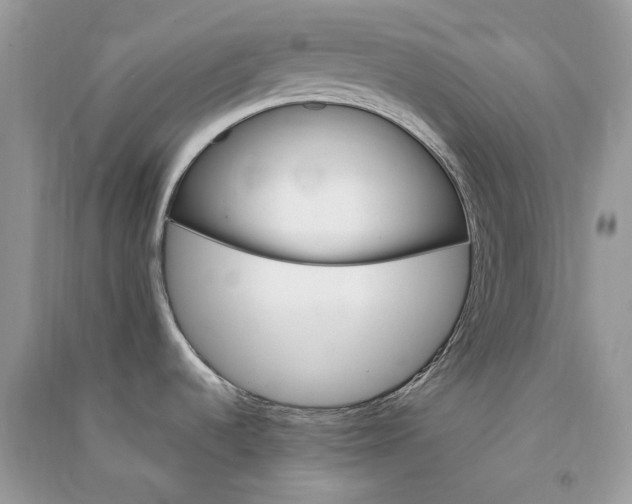 X0000090911536200708131402