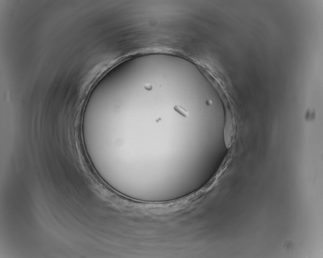 X0000090910001200708201753