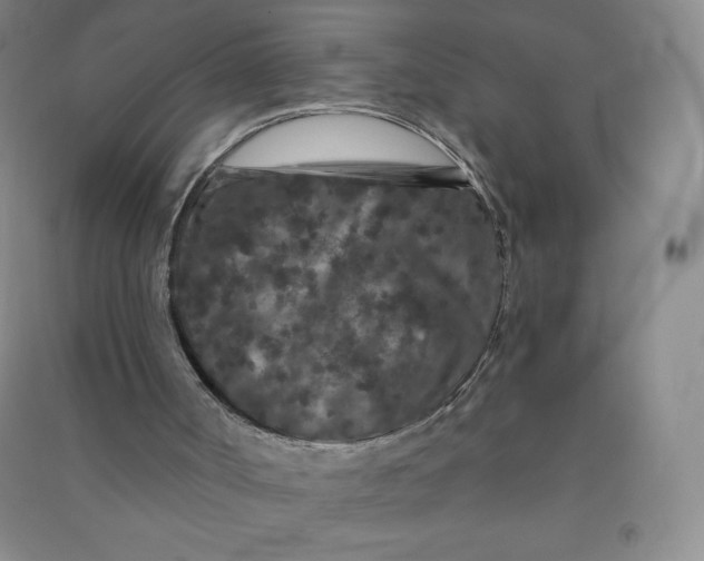 X0000090910002200708201753