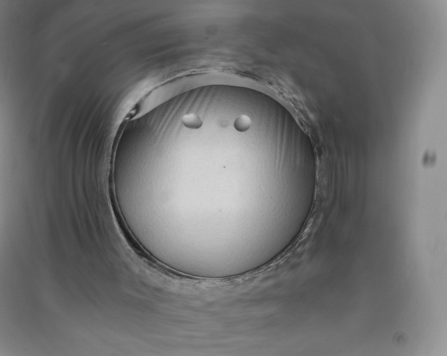 X0000090910003200708201753