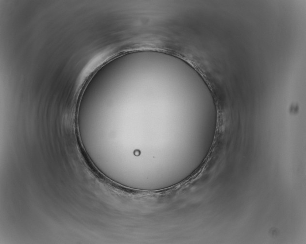 X0000090910004200708201753