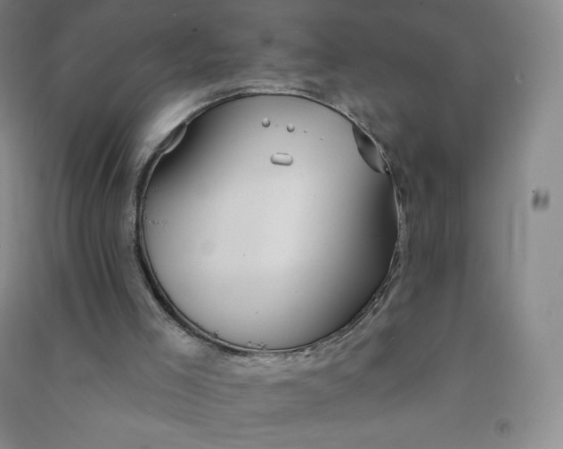 X0000090910005200708201753