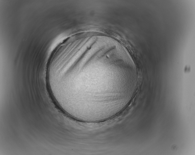 X0000090910006200708201753