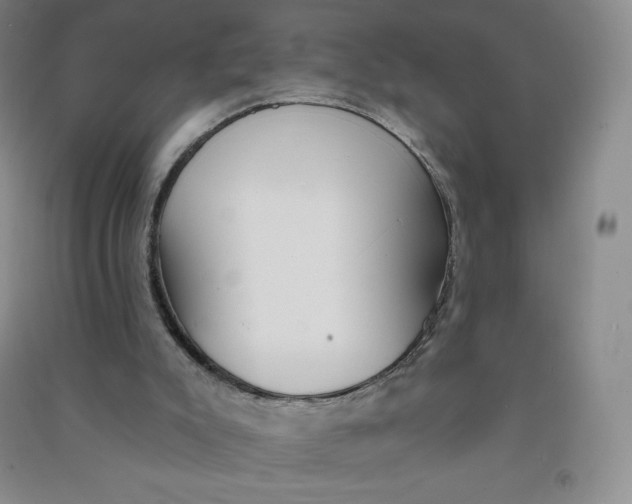 X0000090910007200708201753