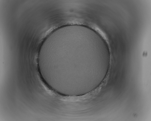 X0000090910009200708201753