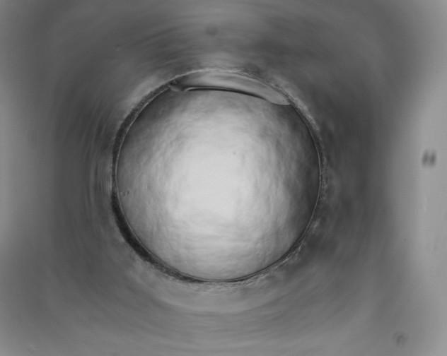 X0000090910011200708201753