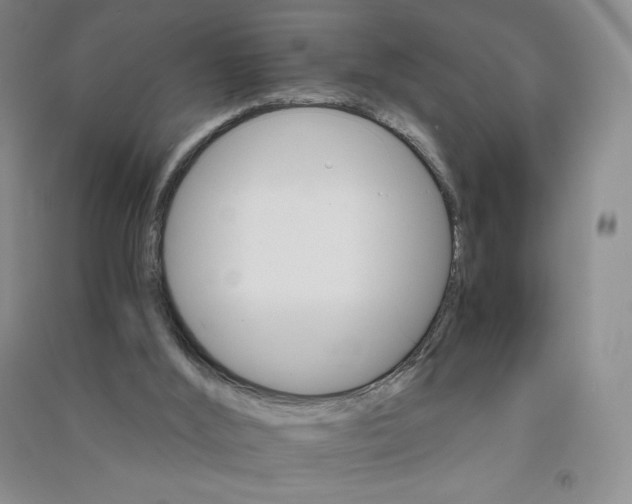 X0000090910012200708201753