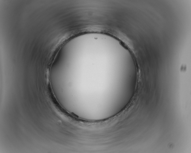 X0000090910013200708201753