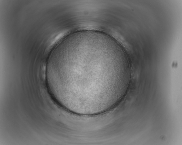 X0000090910014200708201753