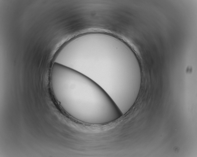 X0000090910015200708201753