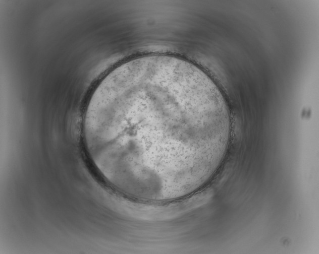 X0000090910016200708201753