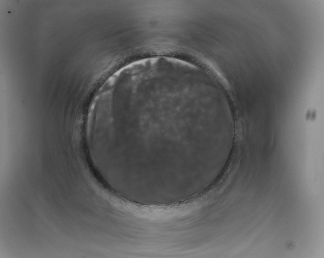 X0000090910018200708201753