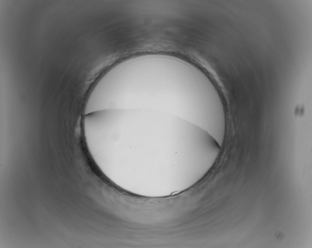 X0000090910019200708201753