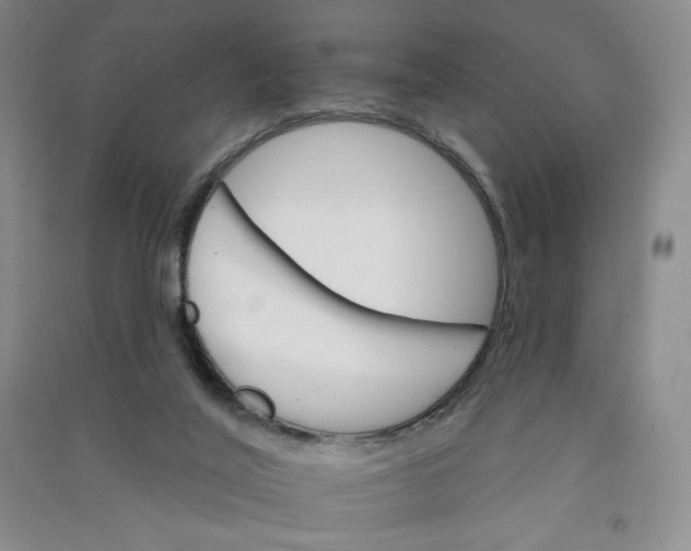 X0000090910020200708201753