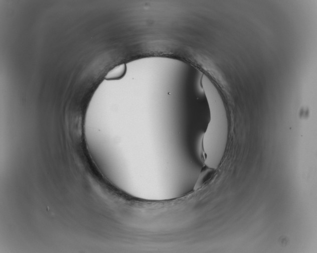 X0000090910021200708201753