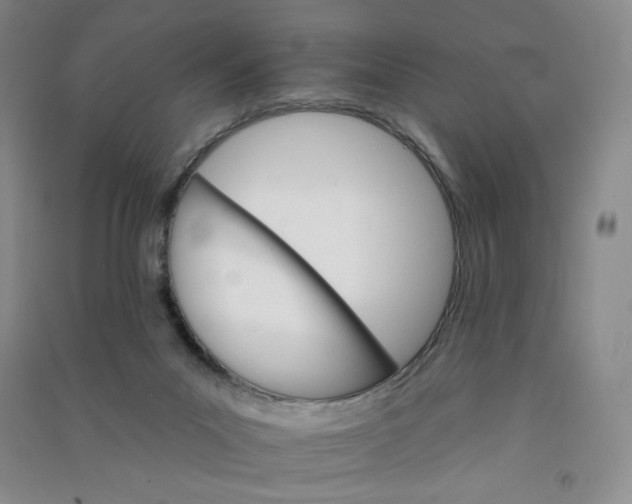 X0000090910023200708201753