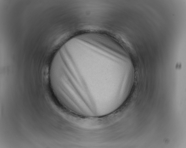 X0000090910024200708201752