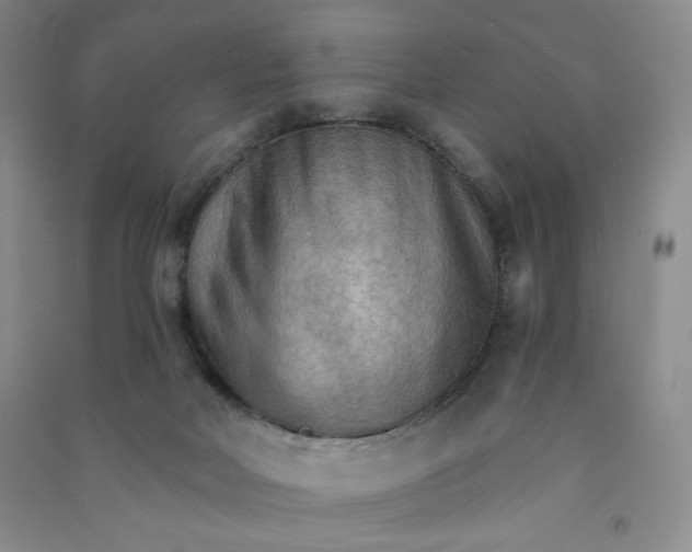 X0000090910026200708201752