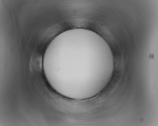 X0000090910028200708201752