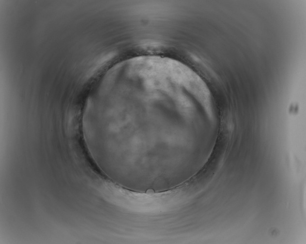 X0000090910030200708201752