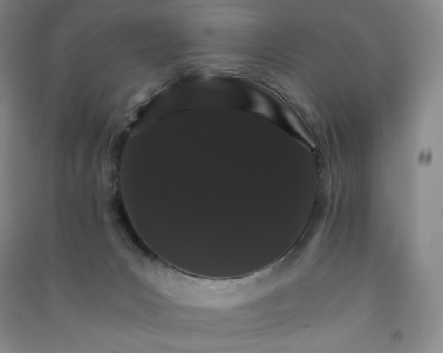 X0000090910031200708201752