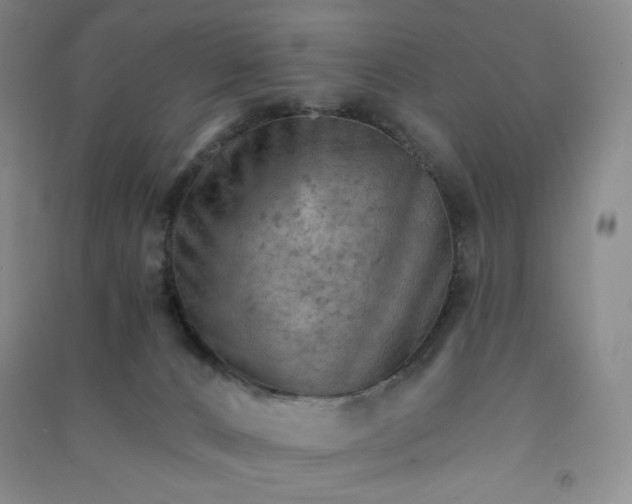 X0000090910032200708201752