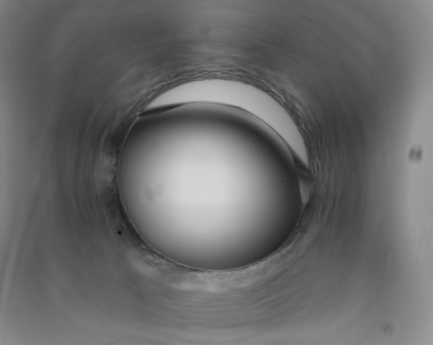 X0000090910033200708201752