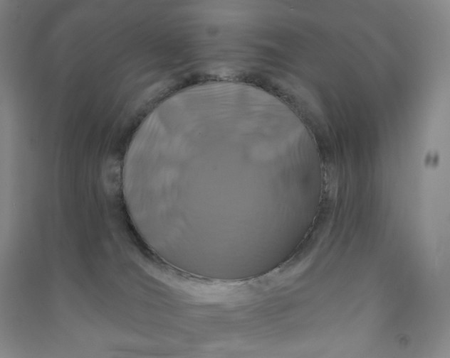 X0000090910036200708201752