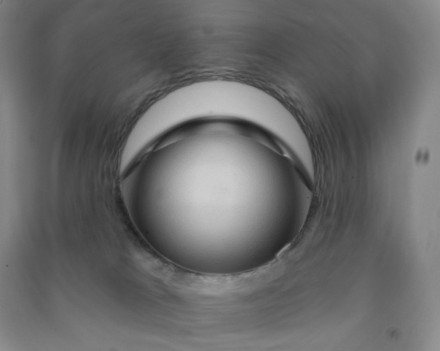 X0000090910037200708201752