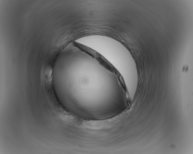 X0000090910041200708201752