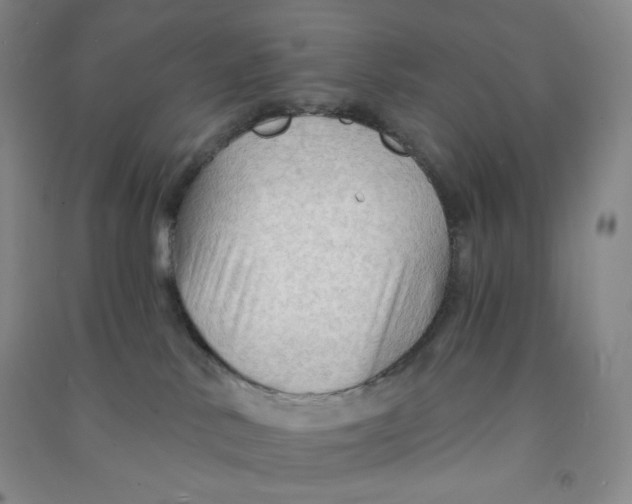 X0000090910042200708201752