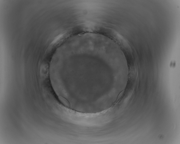 X0000090910043200708201752