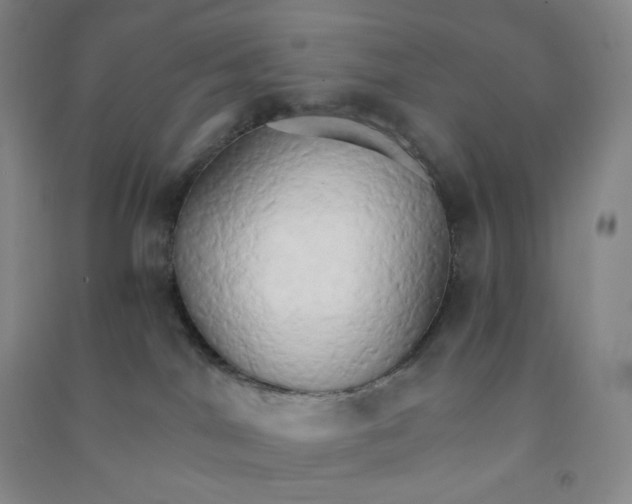 X0000090910044200708201752