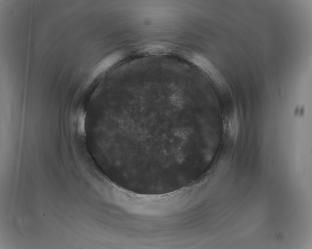 X0000090910046200708201752