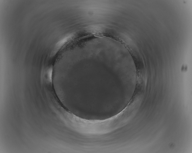 X0000090910047200708201752