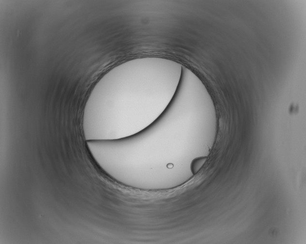 X0000090910048200708201752