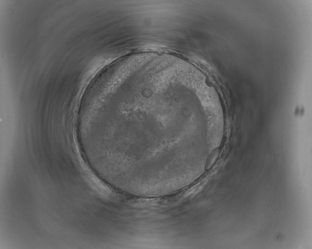 X0000090910049200708201751