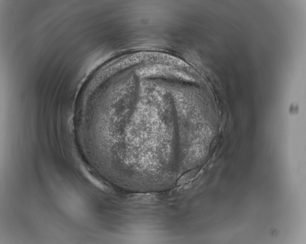 X0000090910050200708201751