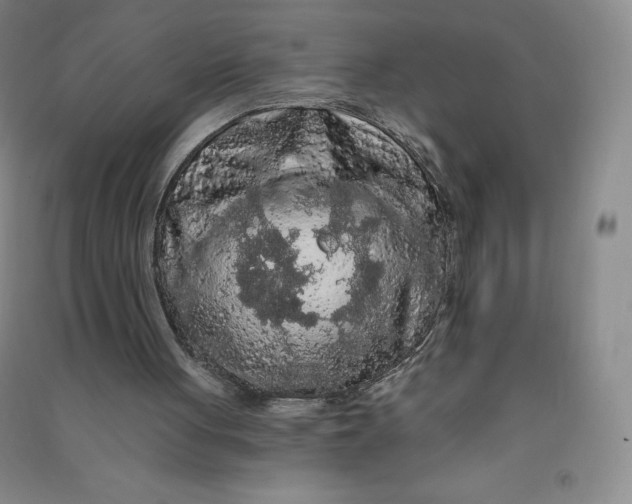 X0000090910051200708201751